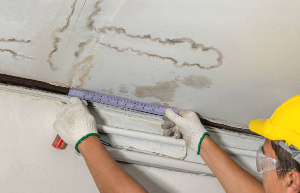 Affordable Water Damage Repair solutions in Hamburg, NJ